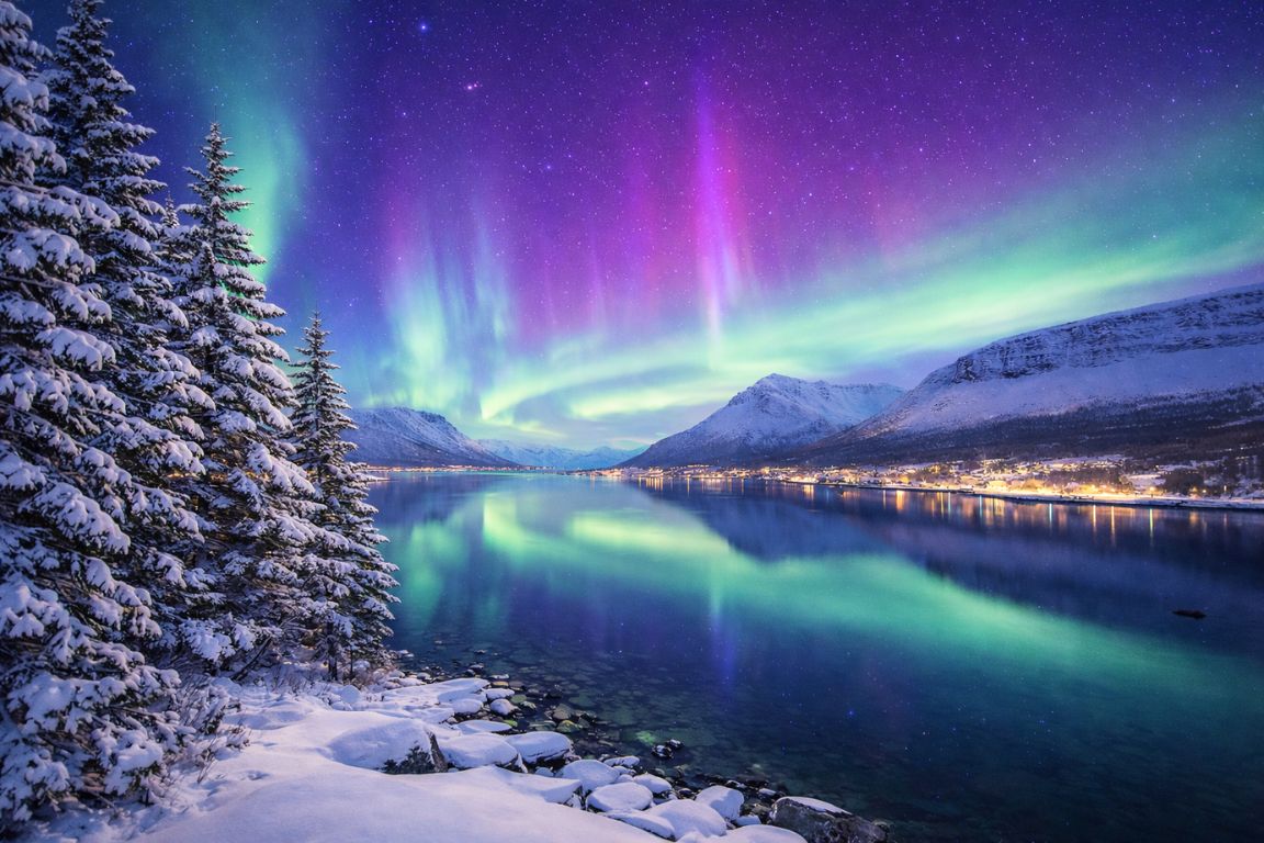 Northern Lights in Tromsø captured on a Tromso Norway Tours guided aurora excursion, featuring colorful aurora dancing above snow-covered trees, fjord, and mountains