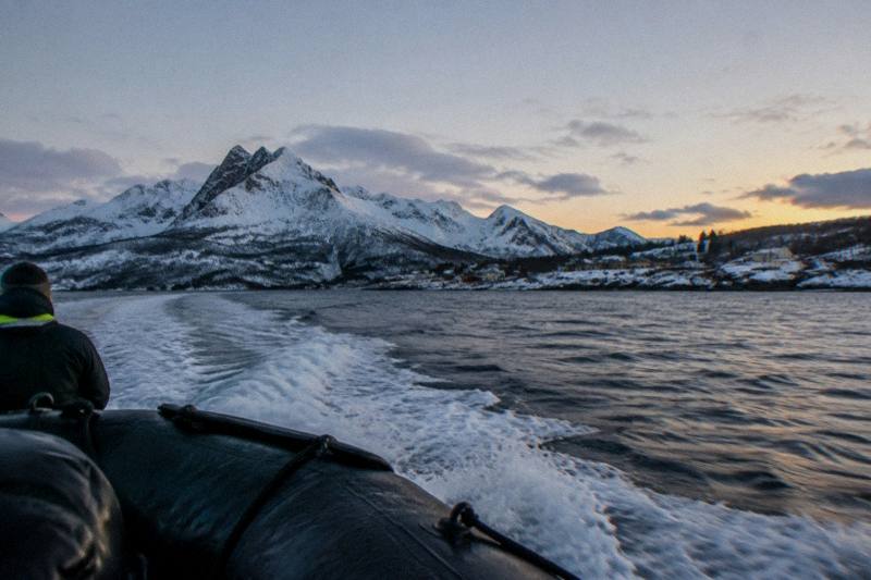Tromsø: Skjervøy RIB Whale Watching Tour