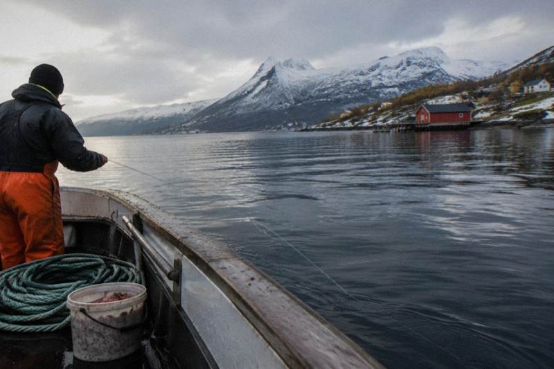Tromsø: Fishing & Fjord Cruise