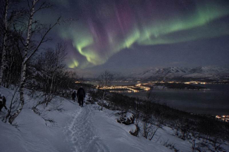 Tromsø: Northern Lights Tour bus | Unlimited Free Repeats