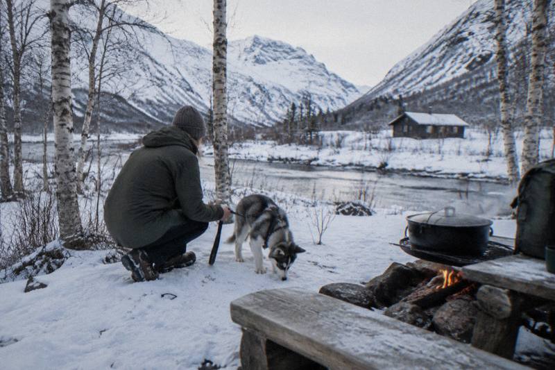 Tromsø: Husky Hike and Puppy Visit with Traditional Lunch